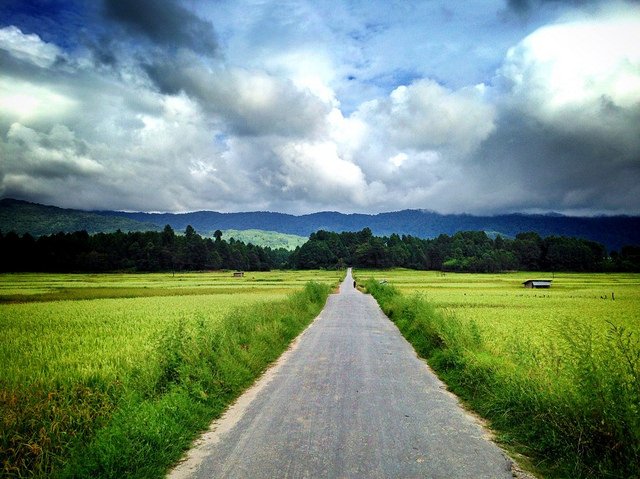 The Roadmap to Overcoming Obstacles and Living a Productive Life