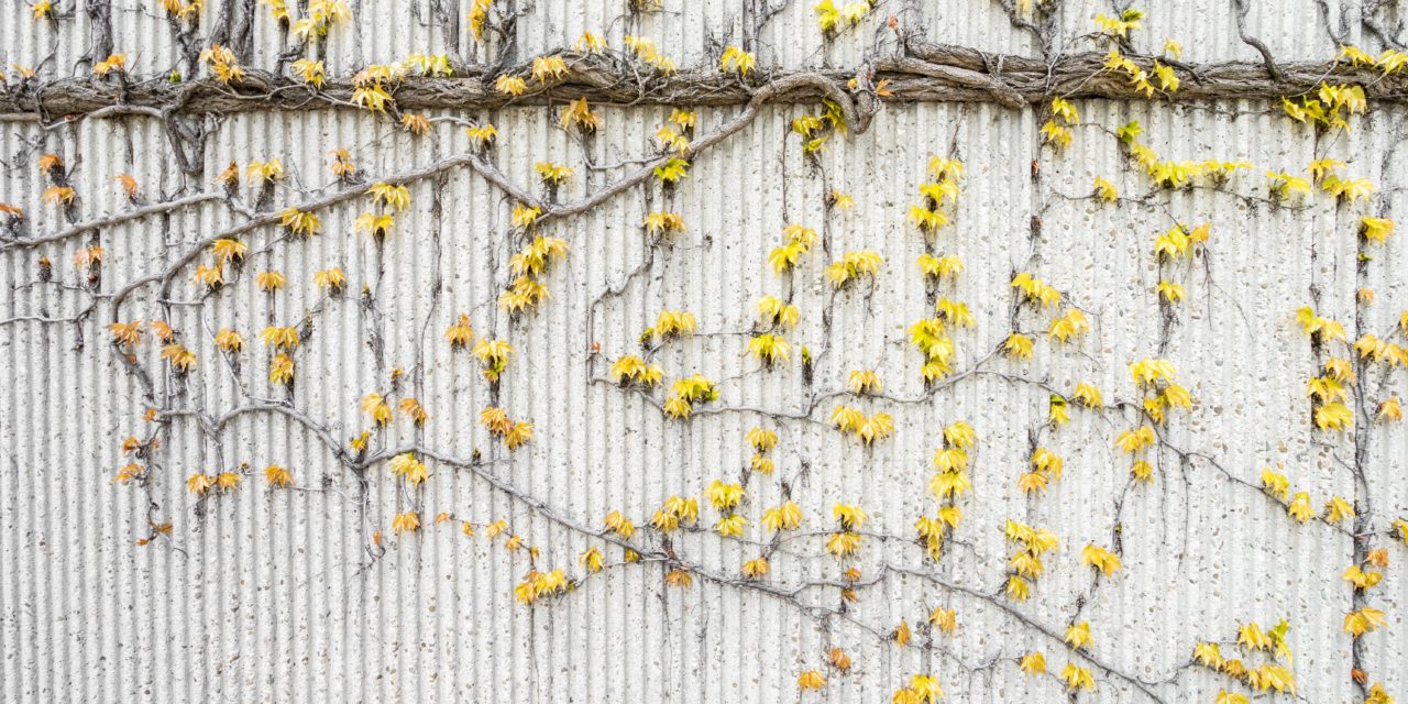4 Mindset Shifts That Will Help You Build Momentum For Success